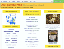 Tablet Screenshot of grzyby.pl